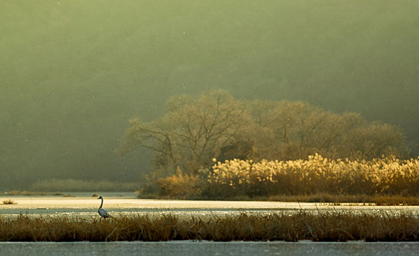 Photograph Suk Eun Kim Only One on One Eyeland